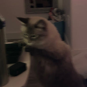 Meet your Posher, Salih